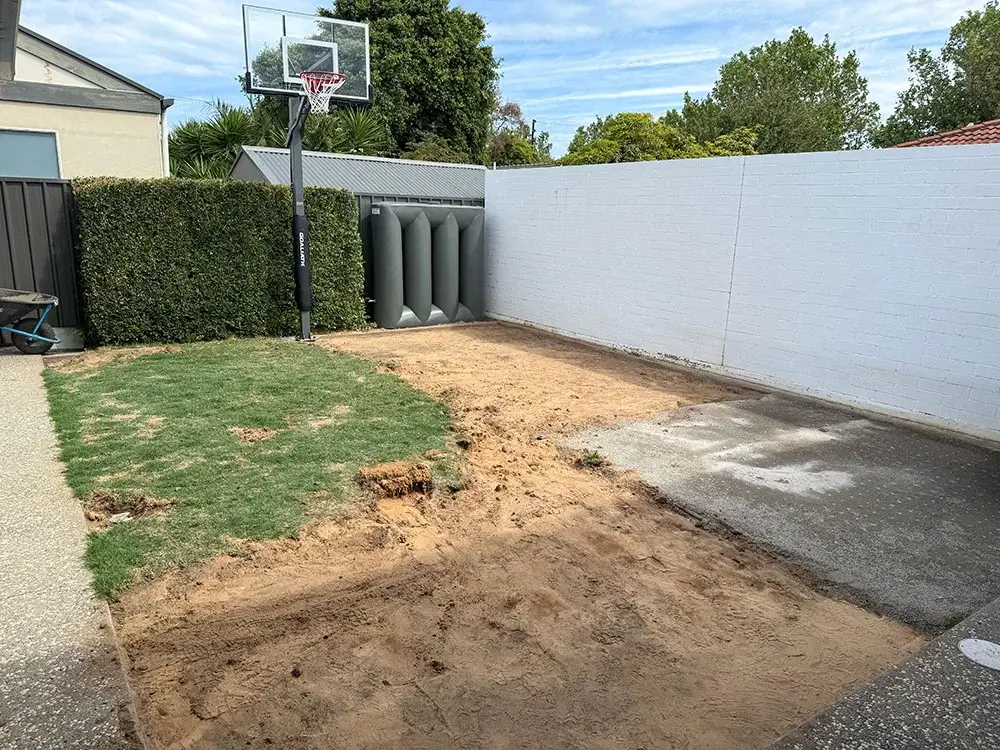 a small courtyard backyard, with a basketball ring, lawn, and dirt. The backyard is enclosed by a white brick fence wall.